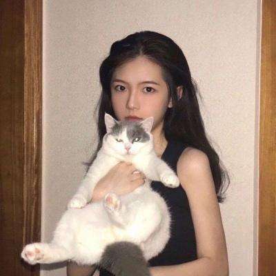 策略战争射击手机版下载